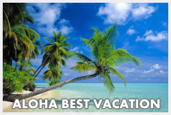 Hawaii Vacation Rental